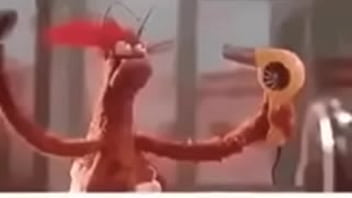 Vídeo de verificação