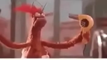 Vídeo de verificação