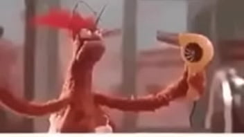 Vídeo de verificação