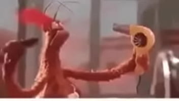 Vídeo de verificação