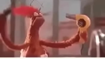 Vídeo de verificação