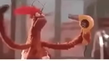 Vídeo de verificação