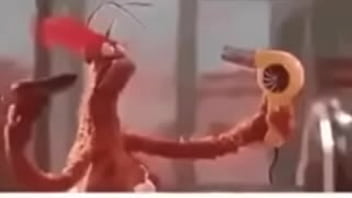 Vídeo de verificação