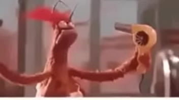 Vídeo de verificação