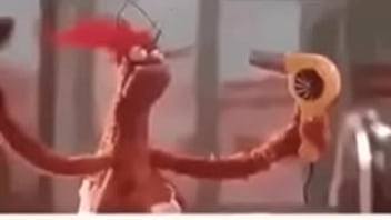 Vídeo de verificação