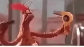 Vídeo de verificação