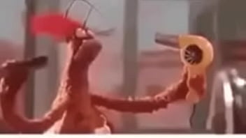 Vídeo de verificação