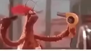 Vídeo de verificação