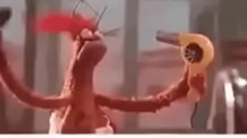 Vídeo de verificação