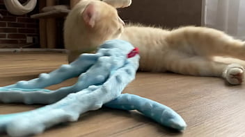 Teste moi déteste moi