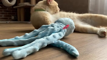 Teste moi déteste moi