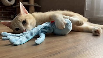 Teste moi déteste moi