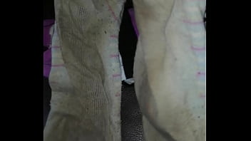 Cum stained ankle socks