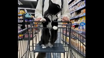 Video bokep part 68215113