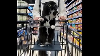 Video bokep part 68215113