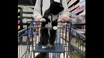 Video bokep part 68215113