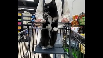 Video bokep part 68215113