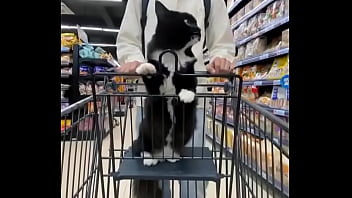 Video bokep part 68215113