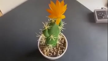 Unos Random Creen Que Nunca Fuimos Al Espacio thumbnail