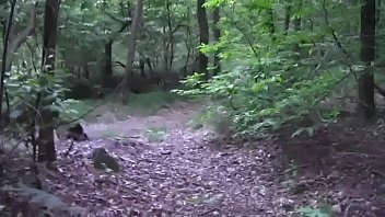 Hot Nice Cumshot In The Wood thumbnail