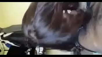 Cum hungry sluts cleaning up your cream