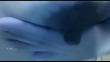 Las tetas de mi novia