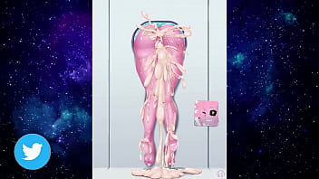 Recopilación motoanexo vol 2