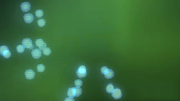 A estreante em anal intenso com dotado bibi mendes