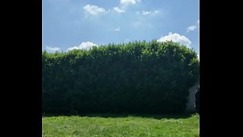 ️ alex the monkey's today i tried to cut the grass i don't know if i won but the grass definitel