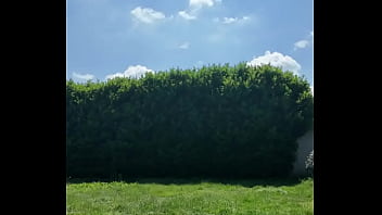 ️ alex the monkey's today i tried to cut the grass i don't know if i won but the grass definitel