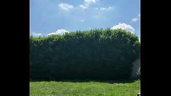 ️ alex the monkey's today i tried to cut the grass i don't know if i won but the grass definitel