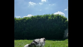 ️ alex the monkey's today i tried to cut the grass i don't know if i won but the grass definitel