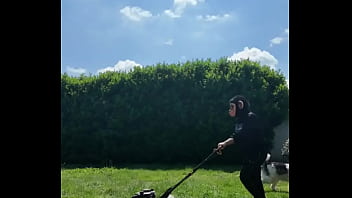 ️ alex the monkey's today i tried to cut the grass i don't know if i won but the grass definitel