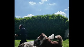 ️ alex the monkey's today i tried to cut the grass i don't know if i won but the grass definitel