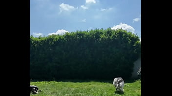 ️ alex the monkey's today i tried to cut the grass i don't know if i won but the grass definitel