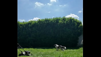 ️ alex the monkey's today i tried to cut the grass i don't know if i won but the grass definitel