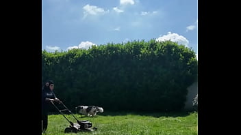 ️ alex the monkey's today i tried to cut the grass i don't know if i won but the grass definitel