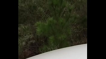 Back shots for westside