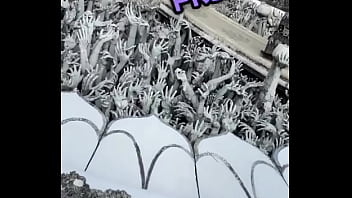 The white temple in chaing rai magical right #travel #thailand #temple #whitetemple #chiangrai