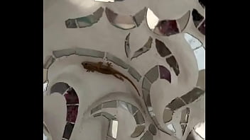 The white temple in chaing rai magical right #travel #thailand #temple #whitetemple #chiangrai