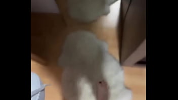 Hello •full video with my slave on ️#handjob #blacknails #feetfetish #fetish #nylon #nylonf