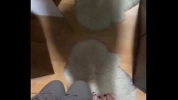 Hello •full video with my slave on ️#handjob #blacknails #feetfetish #fetish #nylon #nylonf