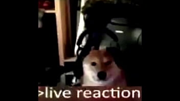 Howard fucks little trogolodyte