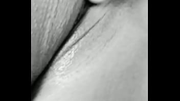 Perrita pidiendo verga