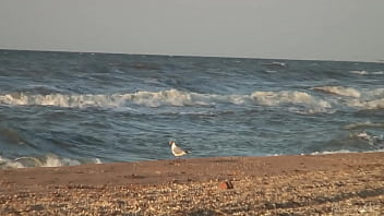 Girl agnes walks around the beach full nude with an audience