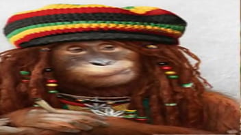 Novinho mostrando quadros