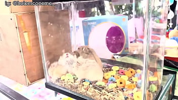 Escapé del anexo xd