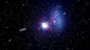 Pucci rainha resto nadinha amassando o verso