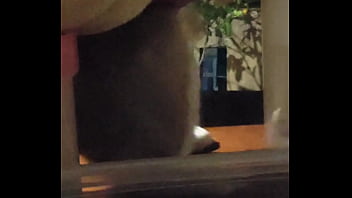 妮姬是一款真正的搖屁股手遊