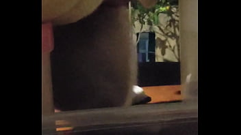 妮姬是一款真正的搖屁股手遊